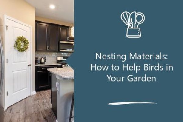 Nesting Materials: How to Help Birds in Your Garden | Planet 997